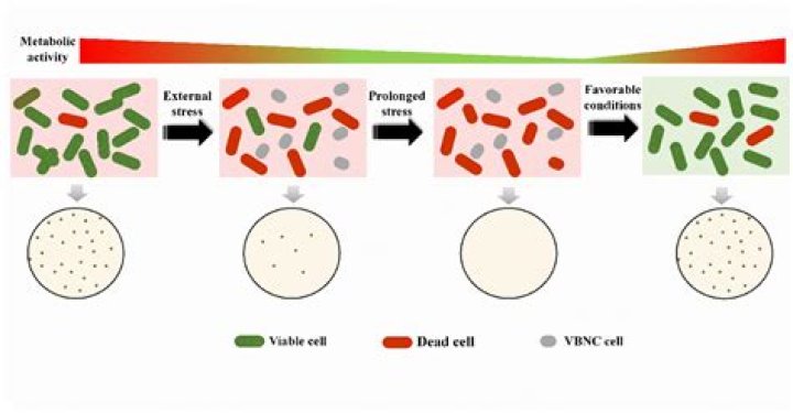 How does Vbnc detect