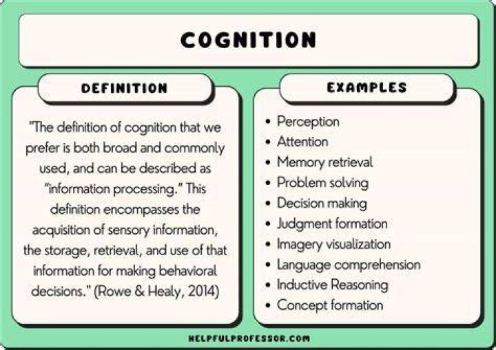 How is cognition best defined